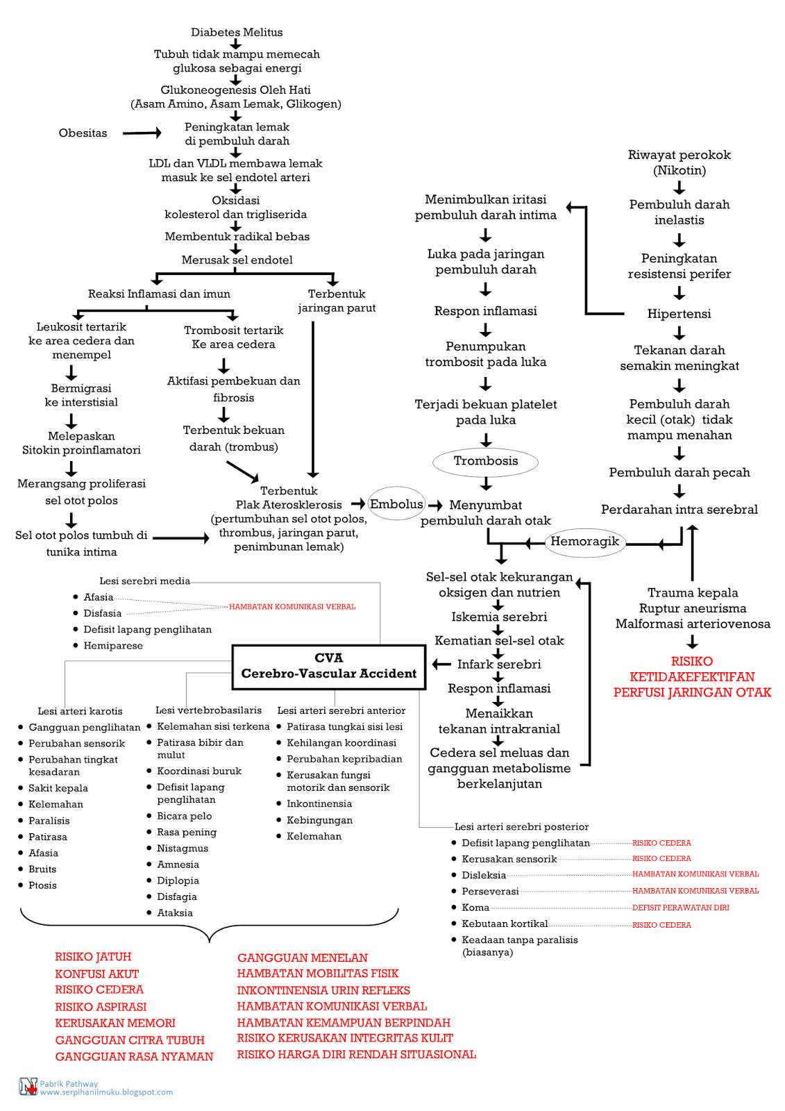 Pathway CVA Stroke