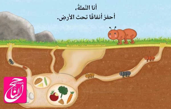 قصص اطفال تعليمية