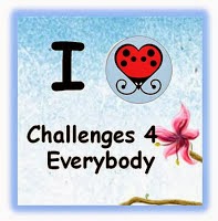  Challenges4Everybody