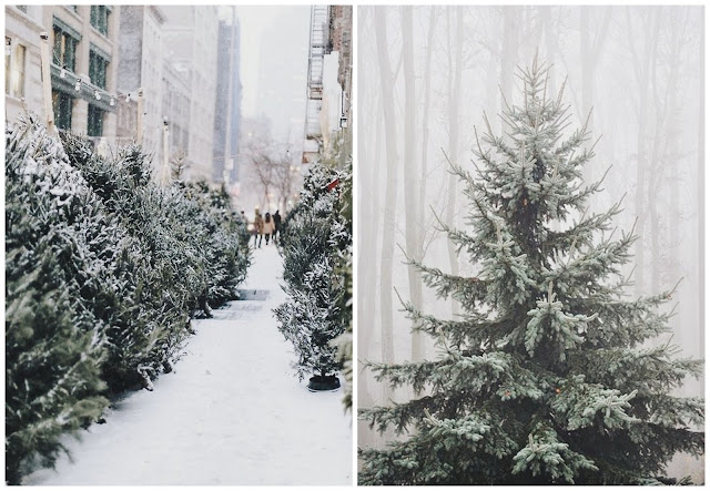 Images of Holiday Inspiration to Celebrate