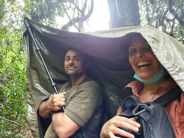 Trekking com chimpanzés na Tanzânia