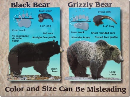 Bear Trailer sign