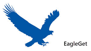 Download Eagleget Download Manager 