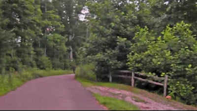 Bigfoot filmed in Ga.