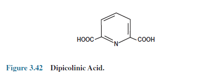 Dipicolinic Acid