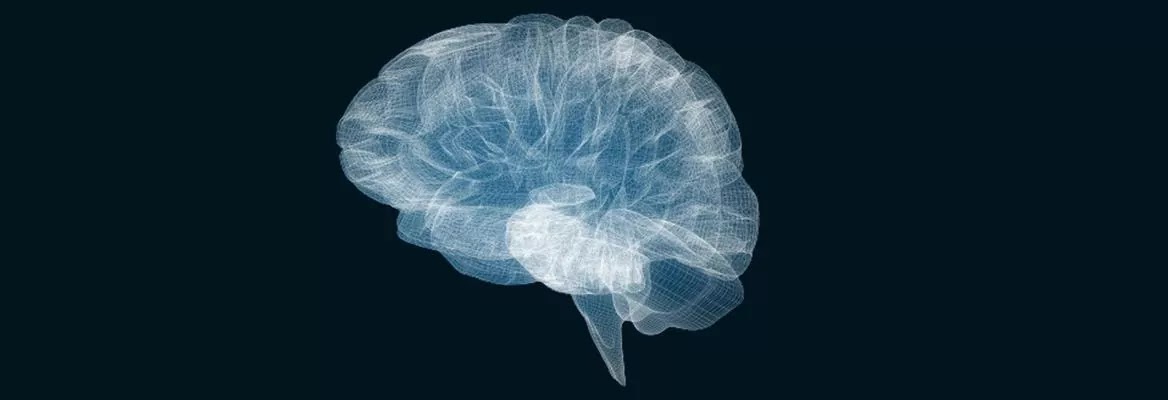 Understanding Consciousness and Its Relationship with Feelings and Embodiment