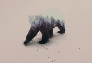 Double Exposure by Andreas Lie