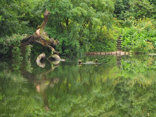 "Reflections" The garden of Grasten Castle, Jutland Denmark by Jan Sognnes as seen on linenandlavender.net:  http://www.linenandlavender.net/p/blog-page_5.html