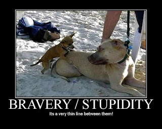 Bravery Stupidity motivational, bravery stupidity demotivational, bravery stupidity it's a very thin line between them, bravery stupidity, motivational, demotivational