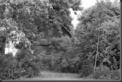 IMGP1864