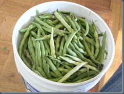 DSCN2401