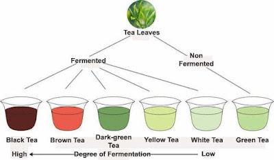 Tea fermentaion