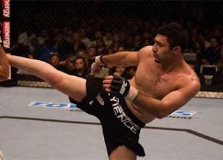 Karo Parisyan in UFC 106