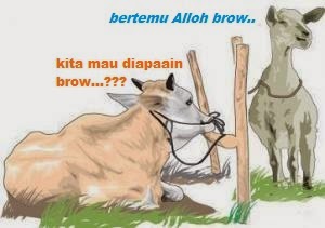 MAKNA IDUL ADHA DAN HARI RAYA QURBAN