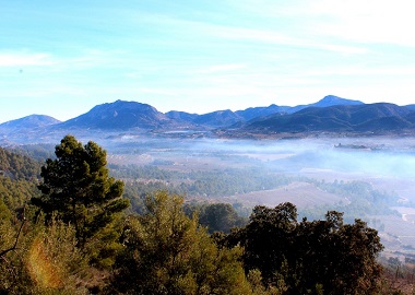 Paisatge del Comtat.