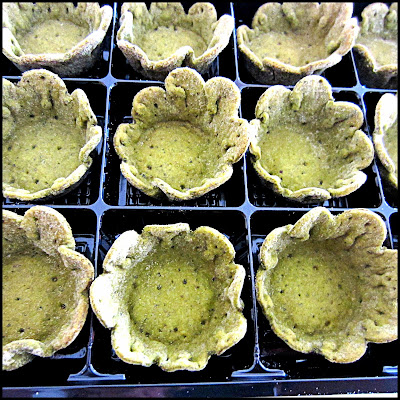 Hors table de Pauline - Tapenade de betterave et de noisettes.