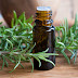 Benefits Of Rosemary Infuse Oil For Hair Growth