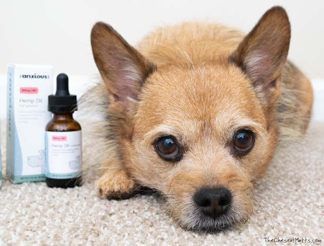dog cbd oil for anxiety and stress