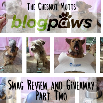 The Chesnut Mutts BlogPaws Swag Review and Giveaway Part Two