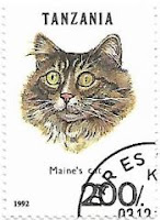 Selo Gato Maine Coon