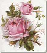 1frenchrosegfairyb