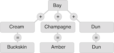 Chart of bay base color with simple dilution alleles added