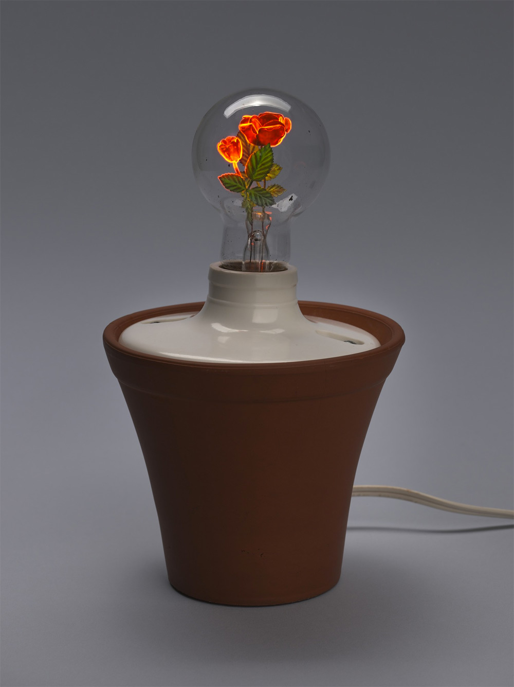 光の花が咲く 幻想的な電球が美しい A ミライノシテン