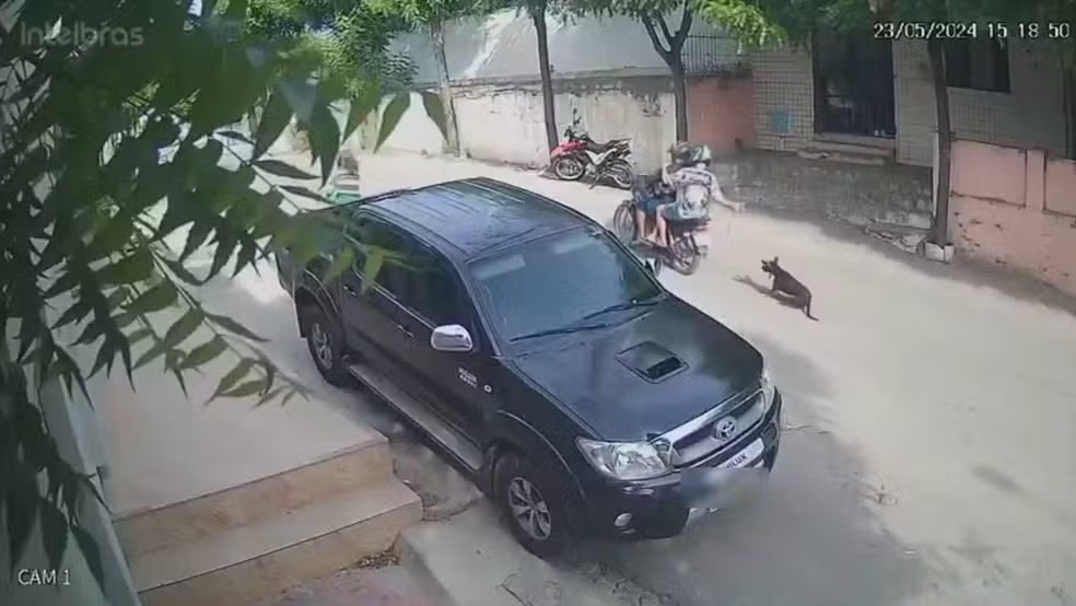Homem é preso por arrastar cachorro preso a uma moto em Canindé-CE