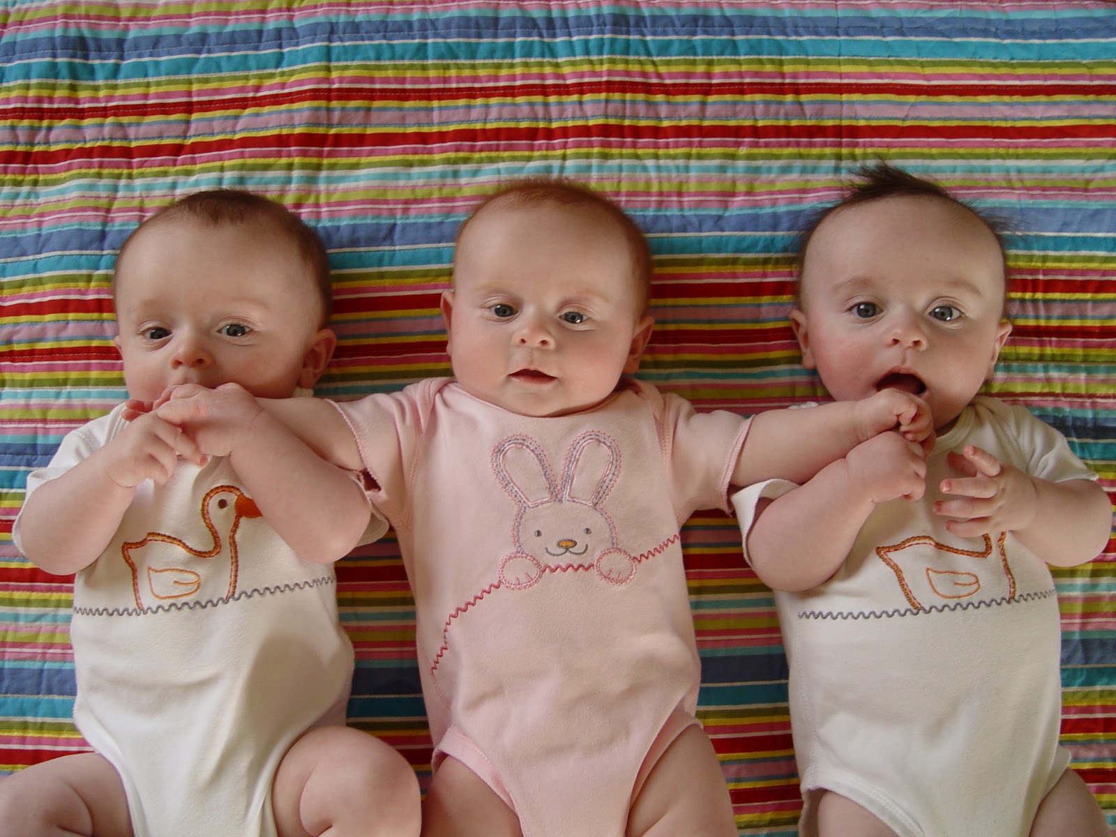 Lucu Banget Gambar Foto Bayi Bayi Kembar Tiga Si Gambar