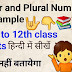 Singular and Plural Number Examples and rules in Hindi English Grammar