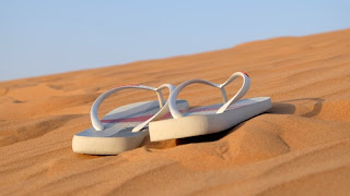 Japanke Havaianas