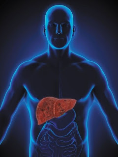 Non Alcoholic Fatty Liver Disease