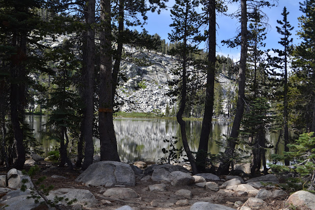 Weaver Lake behind some trees, one with a sign to say so