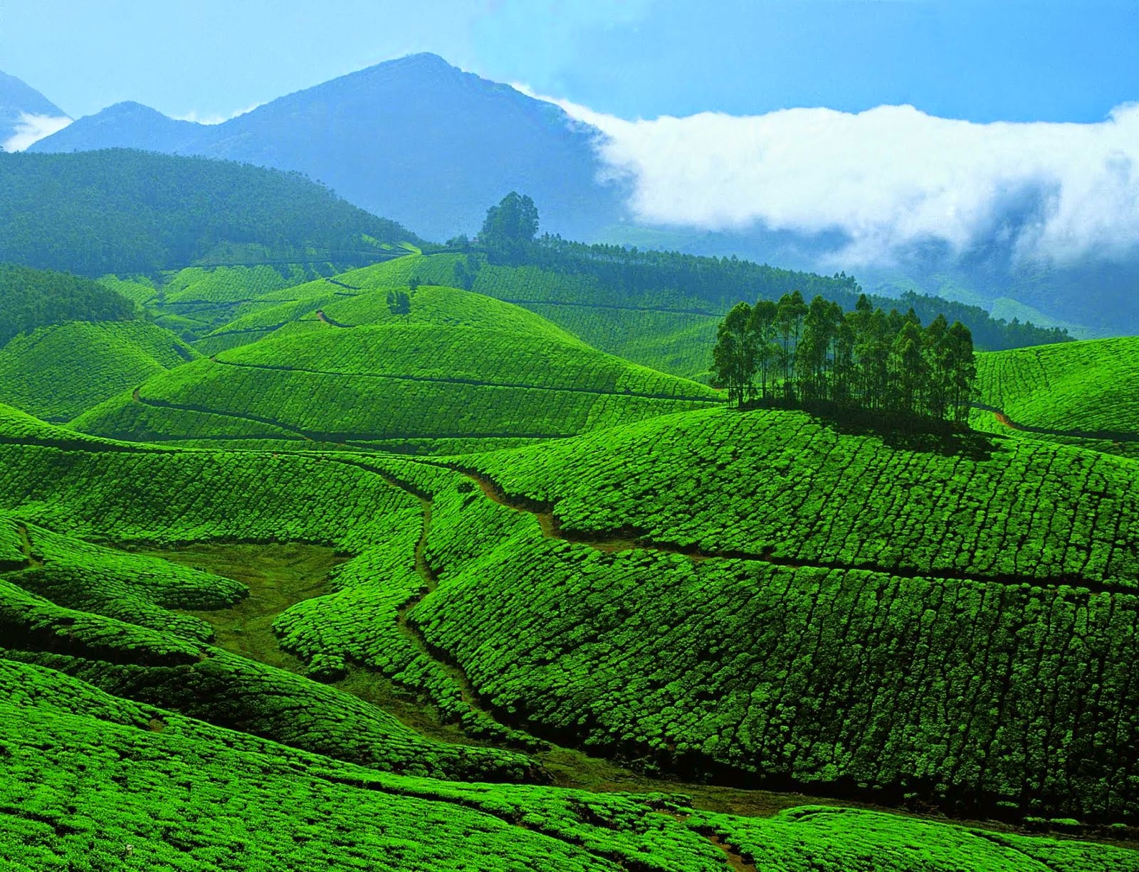 Kerala Tour Packages