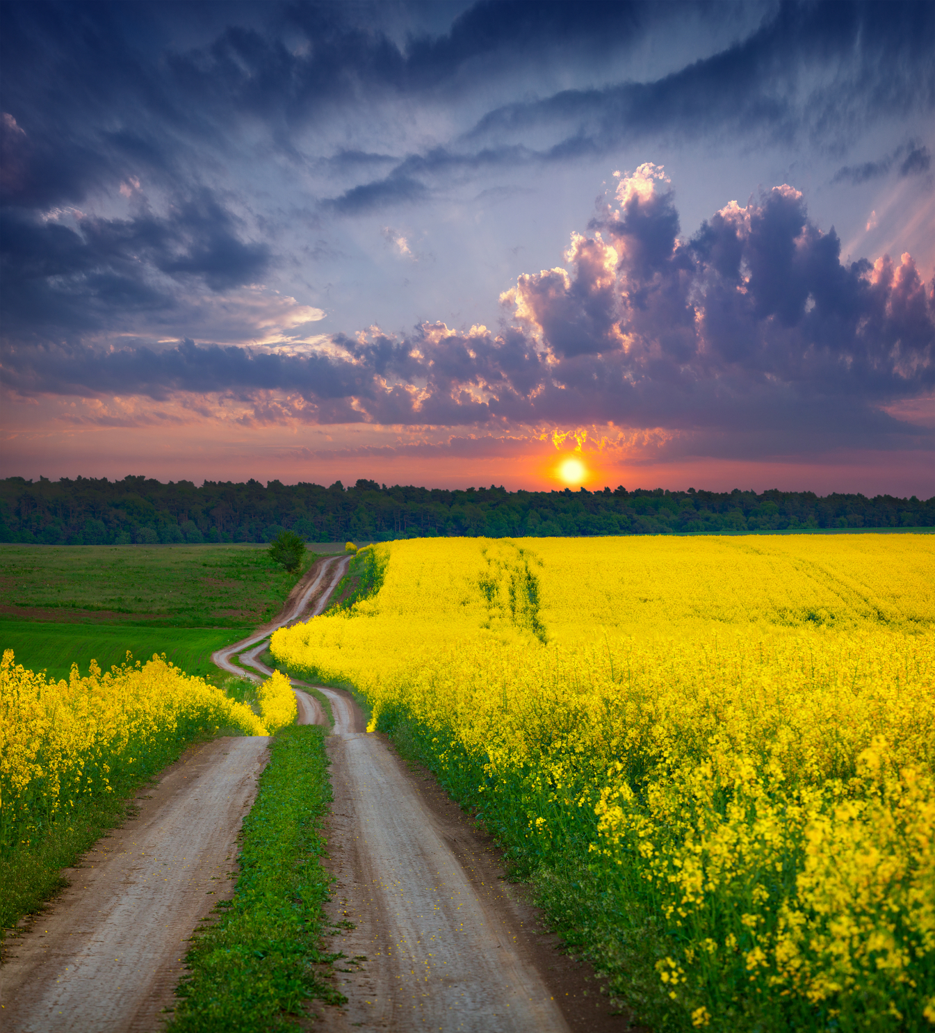 paisajes%2Bnaturales%2B %2Bnaturaleza%2B %2Bnatural%2Bfree%2Blandscapes%2B %2Bfotos%2Bde%2Bpaisajes%2B(10)