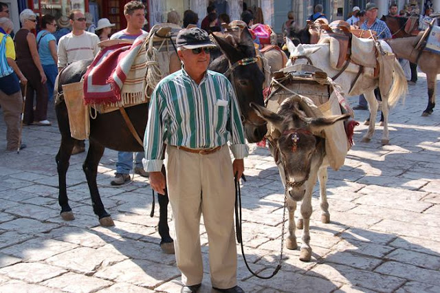 Donkey Island - Port of Hydra