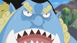 ワンピースアニメ 魚人島編 543話 ジンベエ | ONE PIECE Episode 543