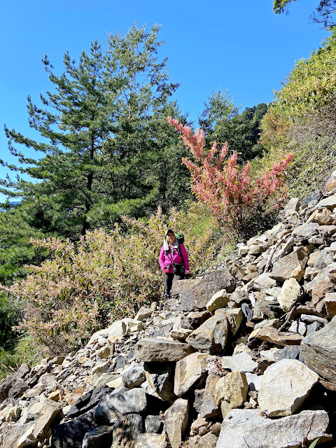 大雪山林道往完美營地