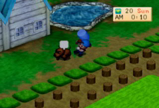 Event Harvest Moon BTN