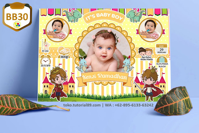 Biodata Bayi Costume Boy Boy Kode BB30 | Pangeran