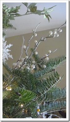 Blog photos 011