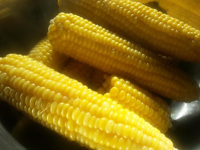 Pasta di mais, l'alimento ideale per una dieta sana ed equilibrata