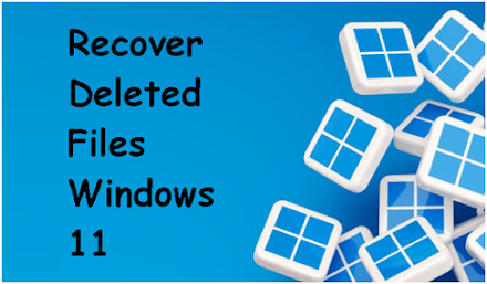 Easy | How to Recover Deleted Files on Windows 11