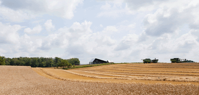 Agricultural House on Limekiln Line by Studio Moffitt - Inspiring Modern Home