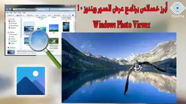 download windows photo viewer for all versions of windows for free