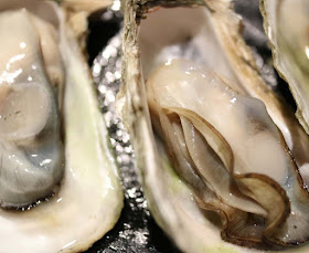 oysters-fish-with-omega-3-fatty-acids-list-picture