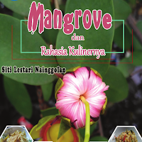  Mangrove