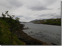 IMGP1973