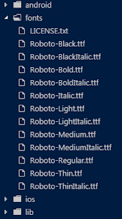 Fonts Ordner für Fonts