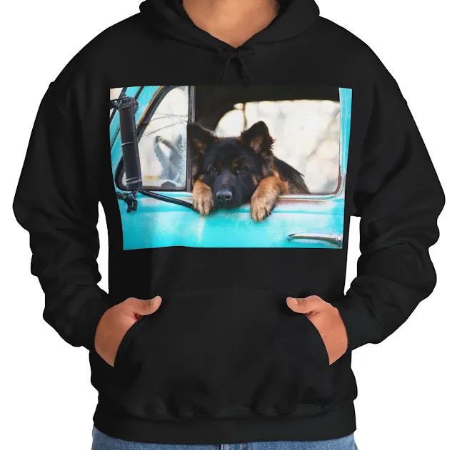 A Hoodie With Long Coat Black and Red German Shepherd Puppy Putting His Head and Front Legs On The Truck Seat's Window